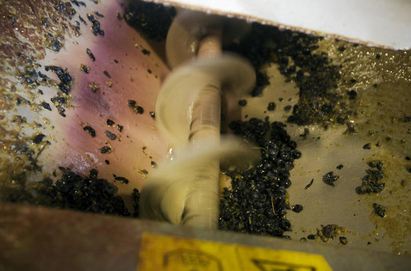 葡萄酒,无人,农场,横图,室外,技术,葡萄,葡萄牙,欧洲,山谷,现代,葡萄园,藤蔓,摄影,收获,食品加工厂,碎屑,农具,种植园,伊比利亚半岛,藤蔓植物,耕具,彩图,斗罗河