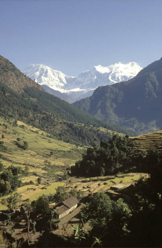 无人,农场,竖图,室外,农业,梯田,山,山脉,雪山,尼泊尔,亚洲,地形,田地,摄影,喜马拉雅山脉,彩图