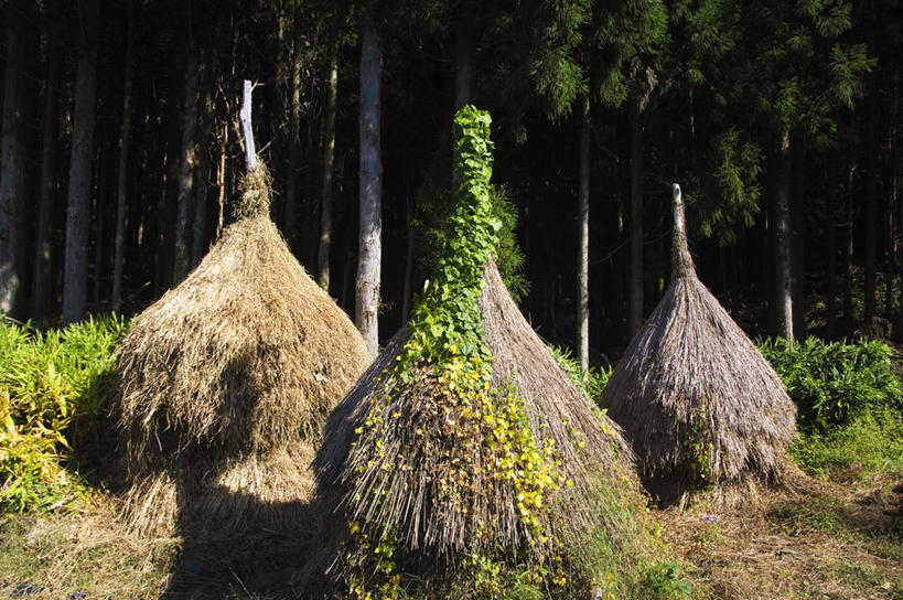 无人,横图,烹饪,农业,日本,亚洲,日本文化,料理,食品,干草,历史,菜肴,美食,食物,草垛,摄影,佳肴,保护,环境,东亚,本州,岐阜县,干草垛,烘干,彩图,传统文化,联合国教科文组织,白川