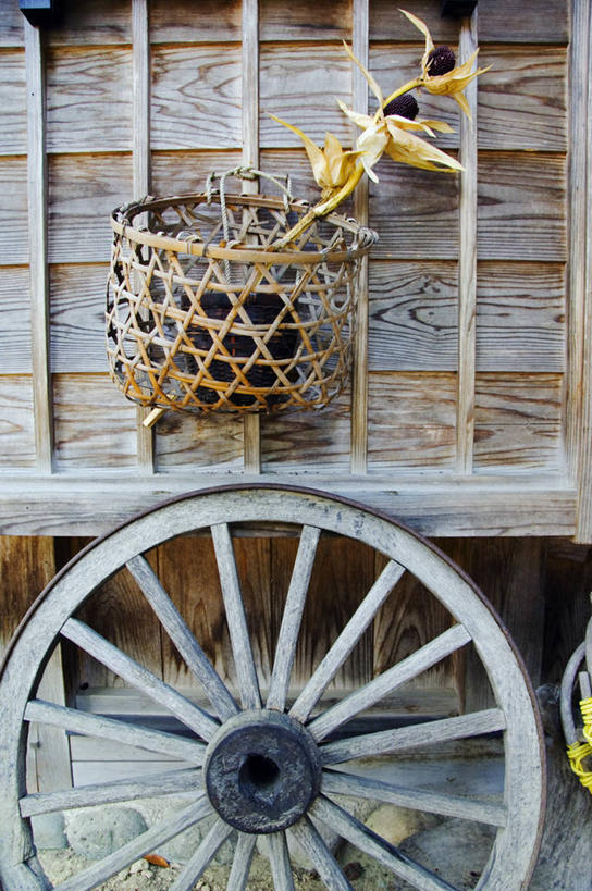 无人,博物馆,竖图,烹饪,农业,日本,亚洲,日本文化,料理,食品,历史,菜肴,美食,花,食物,车轮,摄影,佳肴,保护,环境,东亚,本州,岐阜县,彩图,传统文化,联合国教科文组织,白川