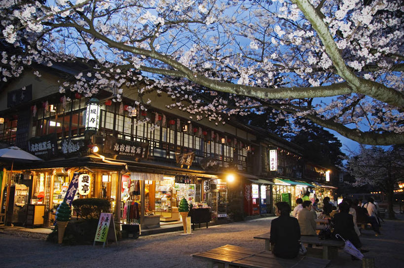 公园,商店,横图,室外,旅游,城市,樱花,日本,亚洲,日本文化,花朵,树,黄昏,摄影,照亮,东亚,本州,石川县,彩图,传统文化
