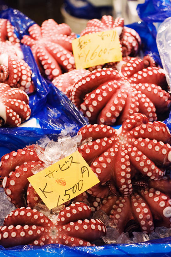 无人,竖图,室内,消费,城市,章鱼,东京,日本,亚洲,食品,市场,首都,摄影,清新,贩卖,贸易,东亚,本州,筑地市场,海产,彩图,递送