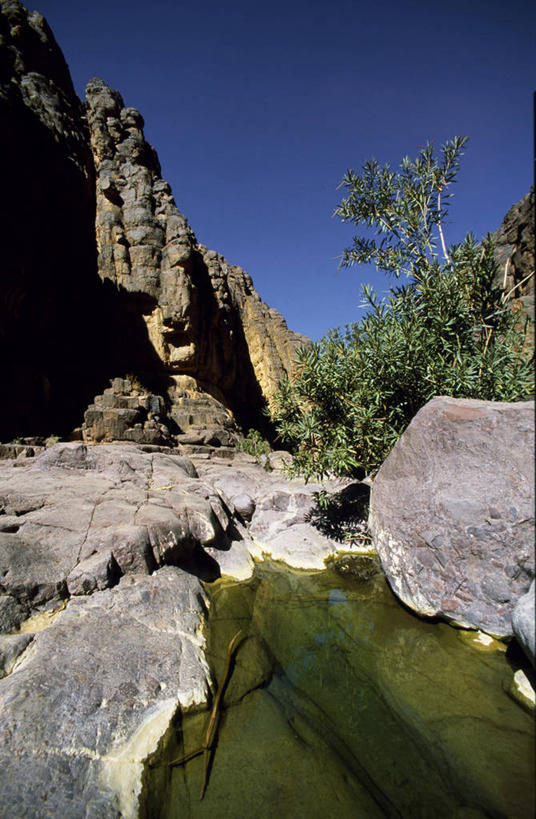 无人,竖图,室外,水,峡谷,非洲,摩洛哥,球袋,悬崖,山谷,树,蓝色,天空,摄影,绿洲,宁静,阿非利加洲,摩洛哥王国,瓦尔扎扎特,苏斯.马塞.德拉大区,岩石,彩图