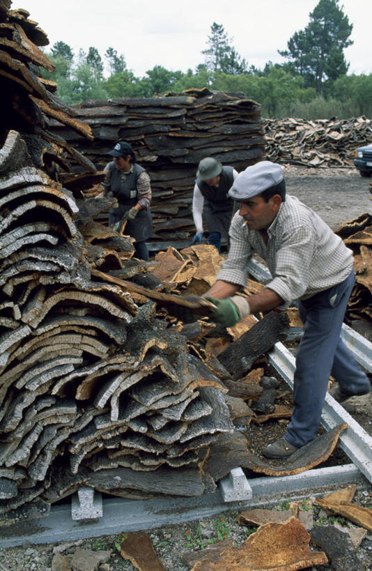 葡萄酒,一个人,竖图,农业,葡萄牙,欧洲,堆叠,树皮,软木塞,工人,职业,摄影,伊比利亚半岛,圣塔伦,阿连特茹,员工,彩图,匠人,劳动者,体力工