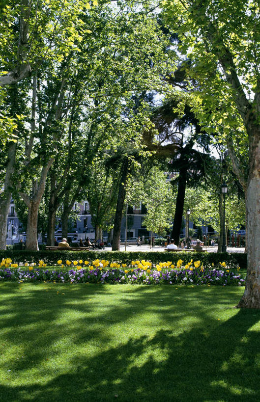 无人,公园,坐,竖图,室外,草坪,郁金香,椅子,西班牙,欧洲,花坛,长椅,首都,花,绿色,夏天,休息,马德里,安静,摄影,宁静,南欧,西班牙王国,马德里自治区,马德里皇宫,彩图,东方广场