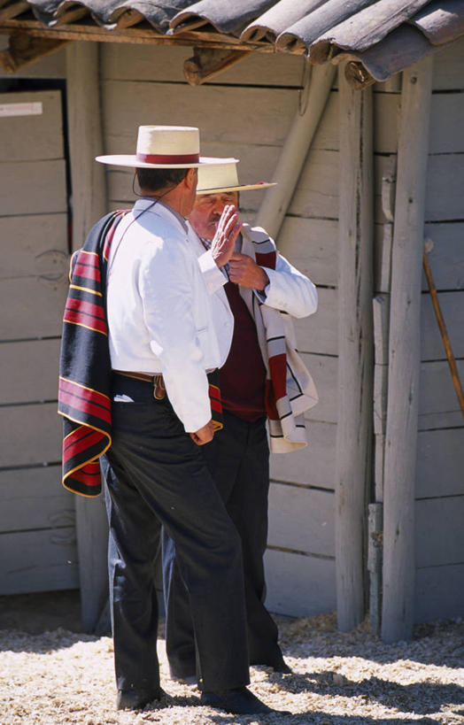 成年人,两个人,牛仔,竖图,锻炼,快乐,满意,比赛,运动,竞争,帽子,智利,草帽,娱乐,衣服,休闲,南美,摄影,体育运动,拉丁美洲,体育,男人,说话,彩图,传统服装,健身,传统文化,马上枪术比赛