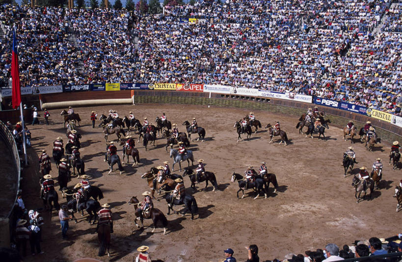 牛仔,横图,锻炼,快乐,比赛,运动,竞争,马,帽子,智利,草帽,竞技运动,娱乐,衣服,看,休闲,家畜,南美,摄影,观看,活动,体育运动,拉丁美洲,斗篷,体育,彩图,传统服装,健身,传统文化,马上枪术比赛