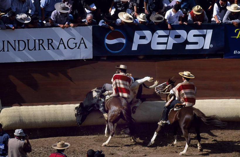 牛仔,横图,锻炼,快乐,比赛,运动,竞争,马,牛,帽子,智利,草帽,竞技运动,娱乐,衣服,看,休闲,南美,摄影,牲畜,观看,活动,体育运动,拉丁美洲,斗篷,母牛,体育,彩图,传统服装,健身,传统文化,马上枪术比赛