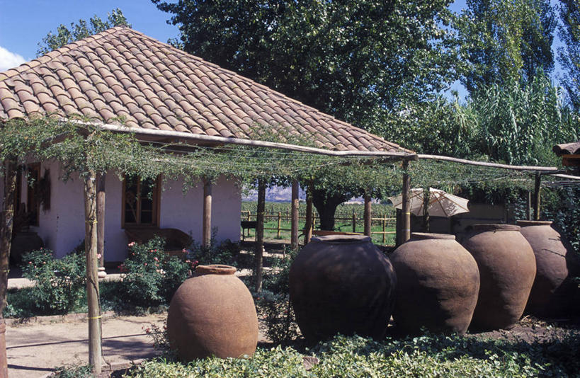 无人,横图,室外,建筑,智利,葡萄园,容器,藤蔓,南美,摄影,拉丁美洲,广口瓶,藤蔓植物,彩图,门廊