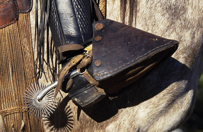 无人,牛仔,横图,马,智利,南美,摄影,拉丁美洲,马靴,鞭子,马镫,彩图