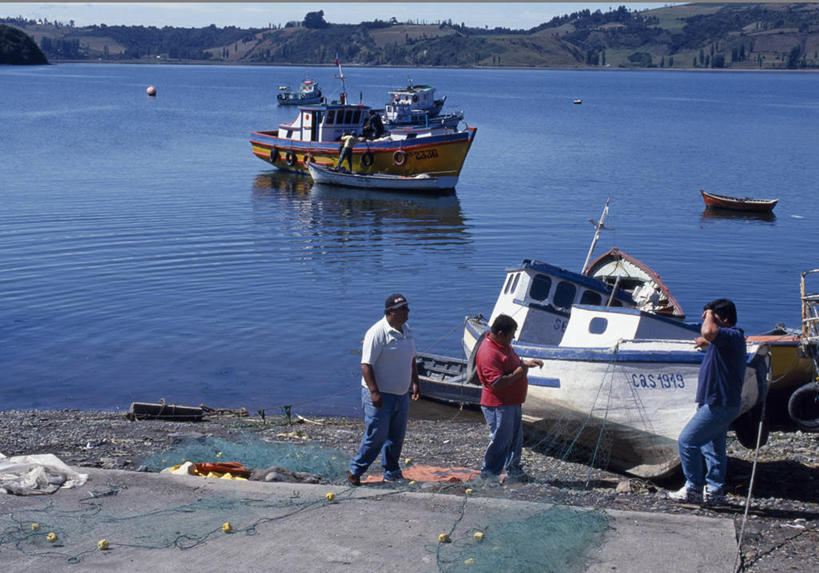 成年人,三个人,渔夫,横图,室外,友谊,智利,岛,海岸线,渔船,热,南美,摄影,渔网,缝纫,修理,协调,南美洲,拉丁美洲,美洲,省会,亚美利加洲,南亚美利加洲,智利共和国,奇洛埃岛,男人,海滩,说话,彩图,钓鱼,湖大区,奇洛埃省,卡斯特罗市,奇洛埃群岛