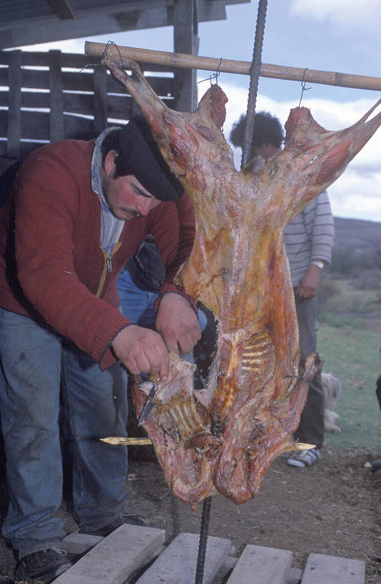 一个人,牛仔,竖图,室外,烧烤,智利,食品,饮食,南美,摄影,拉丁美洲,烹调,彩图,传统文化