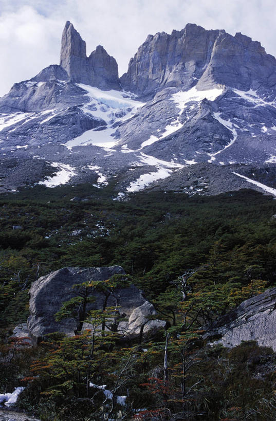 无人,竖图,室外,山,树林,雪,智利,山顶,树,南美,摄影,拉丁美洲,百内国家公园,岩石,彩图