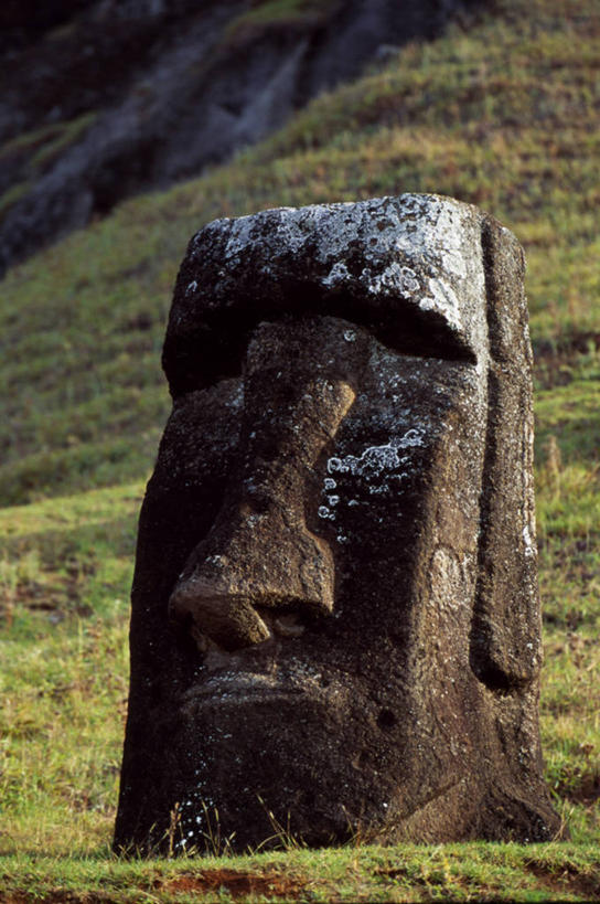 无人,家庭,公园,竖图,采矿业,复活节岛,智利,雕像,地衣,地标建筑,南美,摄影,太平洋,南美洲,国家公园,拉丁美洲,美洲,采石场,复活节岛石像,波利尼西亚,摩艾石像,亚美利加洲,南亚美利加洲,复活岛,智利共和国,摩艾像,拉帕.努伊国家公园,拉帕努伊国家公园,波利尼西亚群岛,彩图,复活节岛人像,赫布亚岛,拉帕努伊岛,毛埃石像,摩阿仪,摩埃石像,莫阿伊,帕赛兰,伊斯特岛