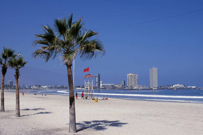 无人,救生员,横图,室外,风险,海浪,酒店,摩天大楼,棕榈树,智利,沙子,长椅,安全带,波浪,南美,摄影,拉丁美洲,援救,海滩,休闲活动,彩图