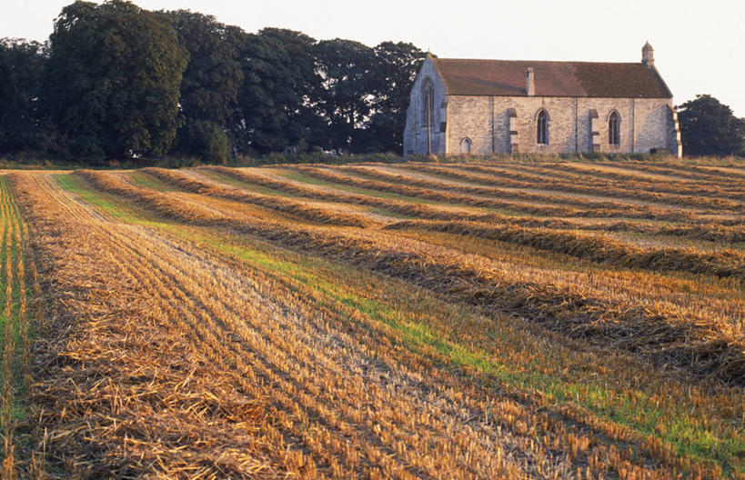 无人,农场,教堂,横图,室外,农业,小麦,美景,英国,欧洲,景观,田地,谷类,稻草,英格兰,自然,景色,摄影,宗教,收获,基督教,宗教建筑,自然风光,彩图,英国国教