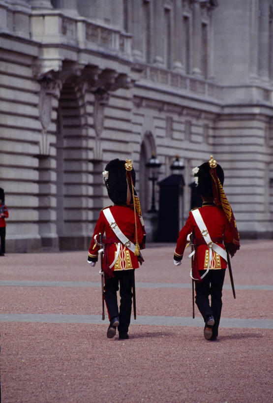 两个人,宫殿,竖图,制服,军事,首都,英格兰,白金汉宫,红色,摄影,军服,英国文化,皇室,彩图,军官