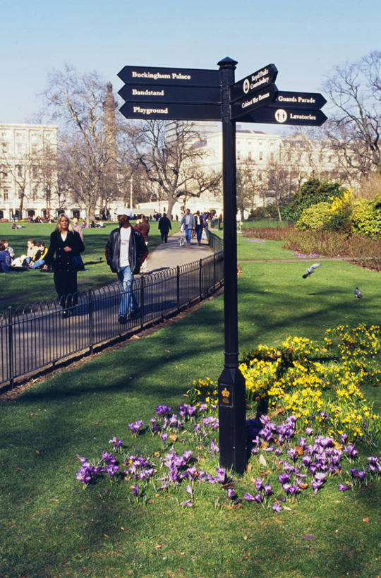 公园,竖图,室外,旅游,快乐,城市,路,英国,欧洲,行人,游客,游人,首都,英格兰,藏红花,路人,旅客,草,春天,放松,摄影,保护,番红花,西红花,方向标,过客,步行,彩图