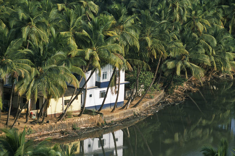 无人,横图,室外,度假,水,建筑,棕榈树,印度,反射,房屋,树,绿色,摄影,住房,热带气候,果阿,潟湖,彩图,西高止山脉