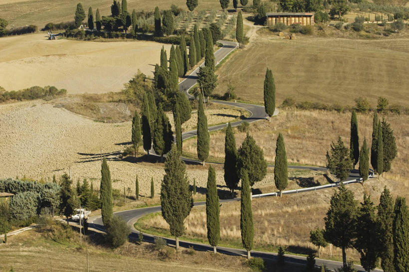 无人,横图,室外,风,路,柏树,意大利,欧洲,弯腰,弯曲,地形,树,摄影,托斯卡纳区,维得斯卡,皮恩札,针叶树,彩图,丝柏