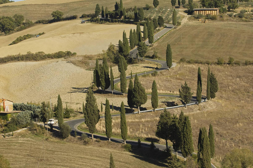 无人,横图,室外,风,路,柏树,意大利,欧洲,弯腰,弯曲,地形,树,摄影,托斯卡纳区,维得斯卡,皮恩札,针叶树,彩图,丝柏