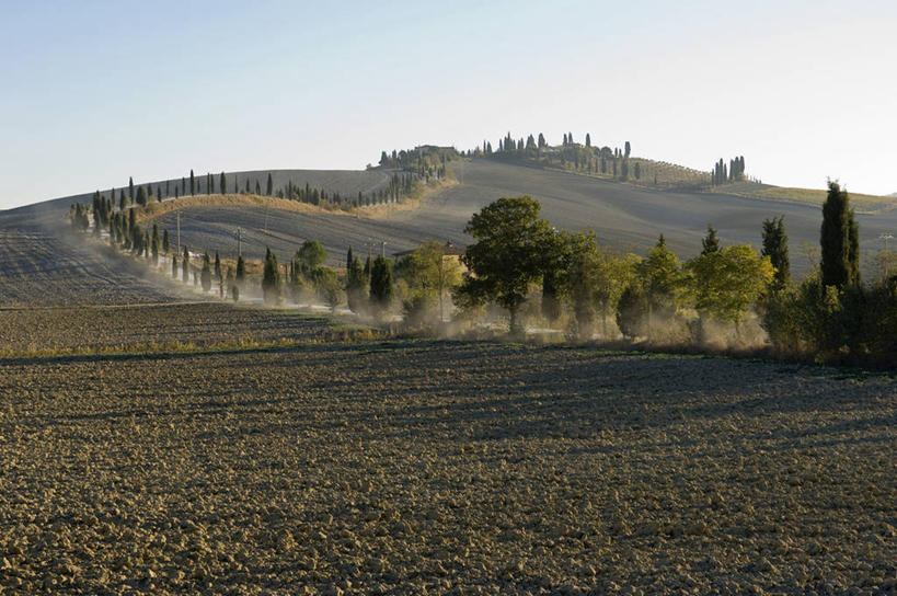 无人,农场,横图,室外,农业,美景,风,路,柏树,意大利,欧洲,弯腰,弯曲,景观,树,自然,景色,摄影,自然风光,托斯卡纳区,秋天,针叶树,彩图,丝柏