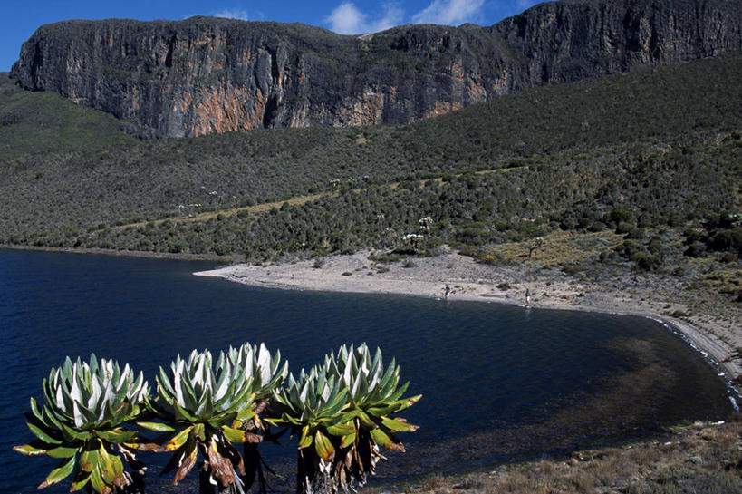 无人,横图,室外,度假,湖,水,植物,野生动物,非洲,肯尼亚,地形,悬崖,鱼类,动物,摄影,宁静,虹鳟鱼,肯尼亚山,岩石,休闲活动,彩图,钓鱼