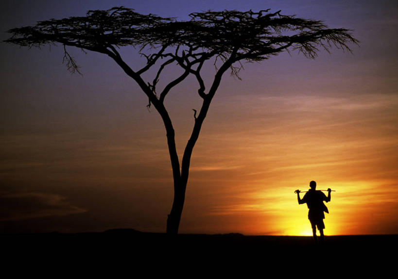 成年人,一个人,横图,室外,寂寞,日落,非洲,肯尼亚,仅一个男性,自然,橙色,摄影,宁静,剪影,牧人,金合欢树,男人,彩图,游牧民族