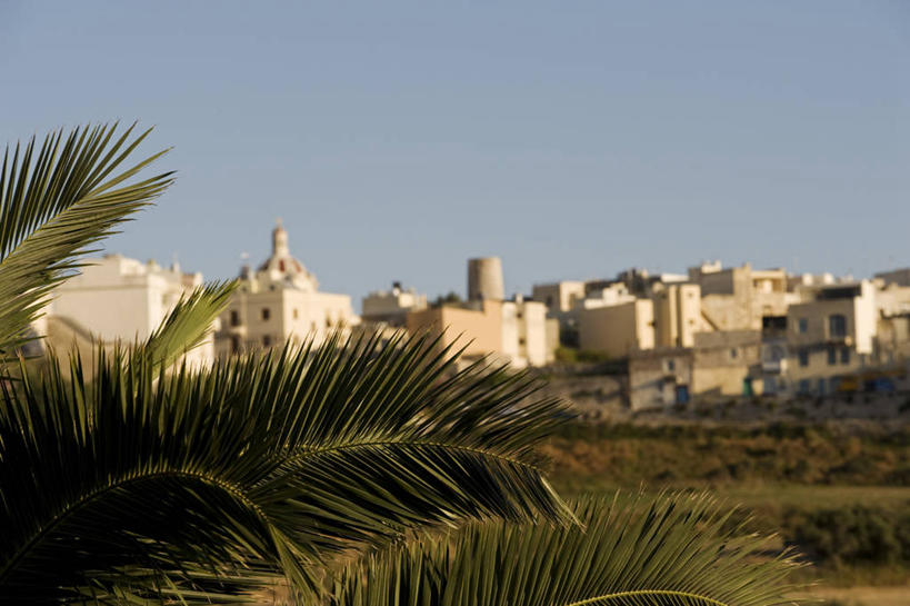 无人,横图,植物,城市,建筑,水果,欧洲,马耳他,岛,地形,城镇,城墙,摄影,地中海文化,南欧,复叶,姆迪纳,群岛,彩图