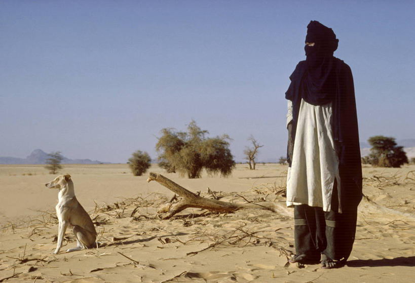 成年人,一个人,横图,室外,骄傲,沙漠,狗,尼日尔,仅一个男性,覆盖,头巾,头饰,猎犬,热,发饰,看,摄影,气候,北非,非洲文化,撒哈拉沙漠,男人,非洲人,彩图,传统服装,图阿雷格人