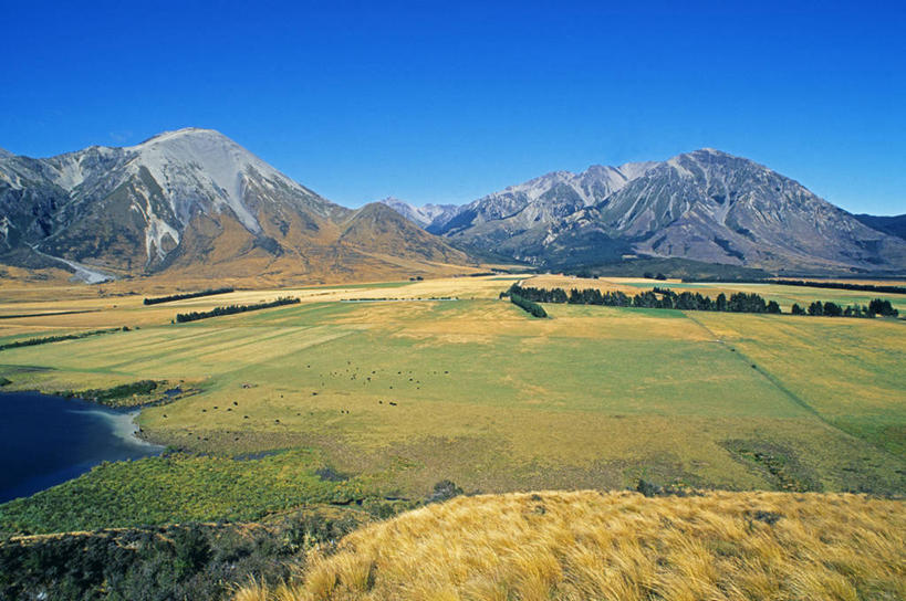 无人,农场,横图,室外,农业,山,山脉,新西兰,地形,高原,田地,树,风景,摄影,新西兰南岛,彩图
