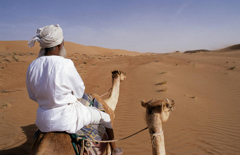 成年人,一个人,横图,室外,沙漠,哺乳动物,野生动物,阿曼,亚洲,仅一个男性,沙子,沙丘,骆驼,动物,家畜,运输,摄影,驼峰,波斯湾,双峰骆驼,男人,彩图,贝多因人,游牧民族