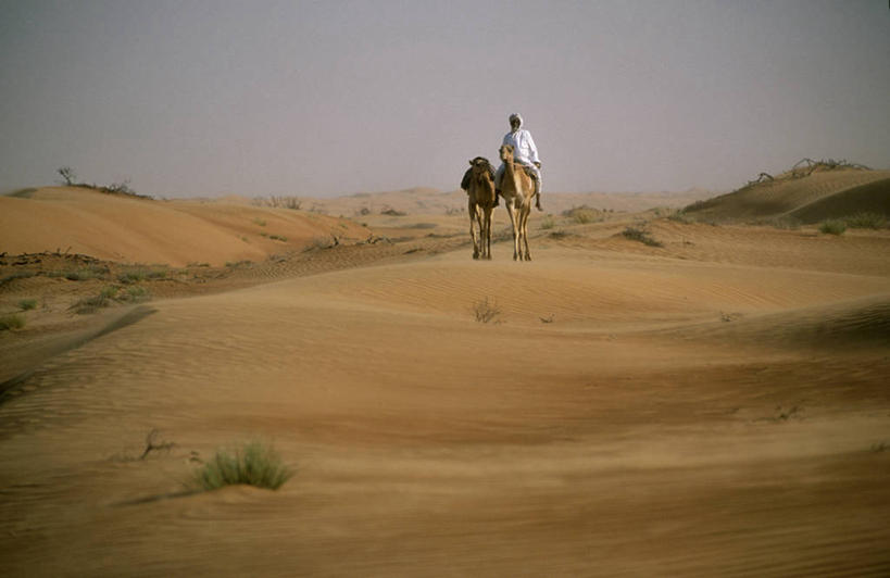 成年人,一个人,横图,室外,沙漠,哺乳动物,野生动物,阿曼,亚洲,仅一个男性,沙子,沙丘,骆驼,动物,家畜,运输,摄影,驼峰,波斯湾,双峰骆驼,男人,彩图,贝多因人,游牧民族