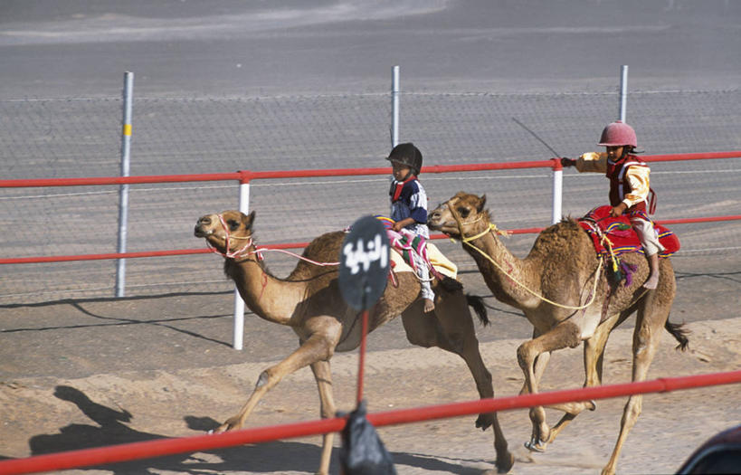 横图,锻炼,快乐,比赛,运动,竞争,沙漠,阿曼,娱乐,休闲,摄影,活动,迅速,灰尘,体育运动,四驱车,波斯湾,体育,彩图,健身,径赛,皮卡车,贝多因人