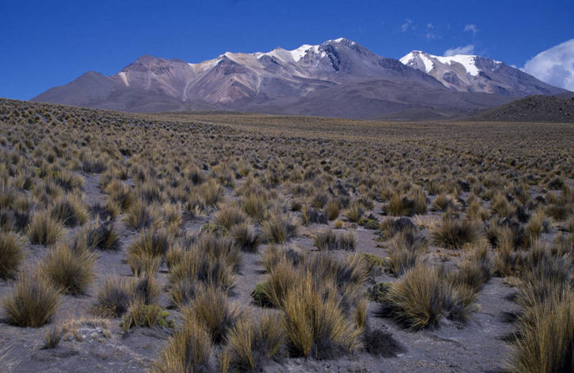 无人,横图,室外,山,山脉,峡谷,雪山,秘鲁,地形,高原,山顶,草,南美,摄影,彩图