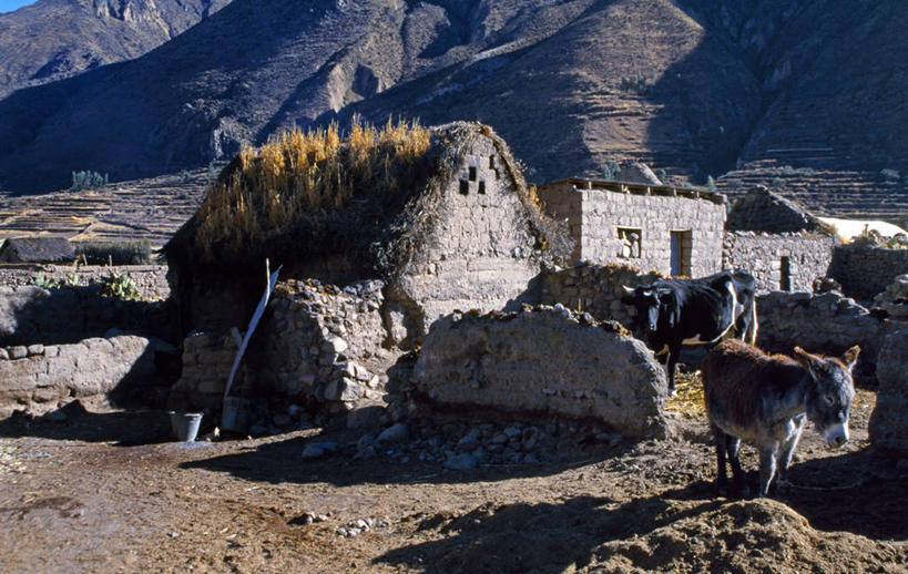 无人,家,横图,室外,农业,山,山脉,峡谷,秘鲁,房屋,屋顶,屋子,草屋,山谷,顶棚,住宅,茅草屋,南美,摄影,山庄,驴子,彩图,房子,茅舍,茅屋,小屋