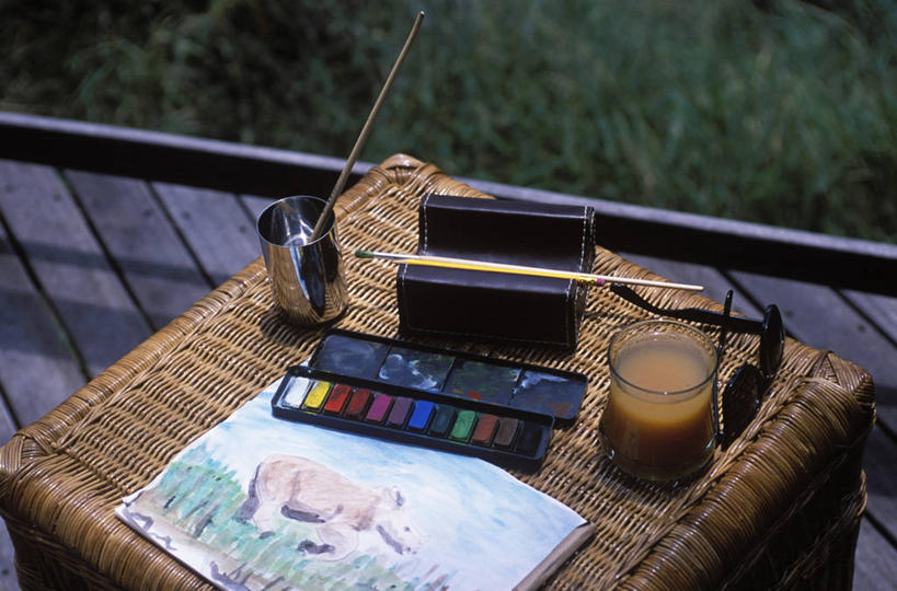 无人,横图,绘画,酒店,非洲,南非,艺术,画笔,摄影,颜料,美术,作画,休闲活动,犀牛,彩图