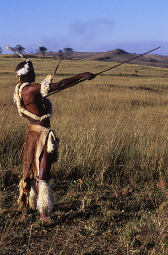 成年人,一个人,竖图,非洲,南非,仅一个男性,锐利,看,武器,摄影,羊皮,锋利,尖锐,肖像,进攻,矛,非洲文化,阿非利加洲,南非共和国,夸祖鲁.纳塔尔省,男人,非洲人,彩图,传统服装,传统文化