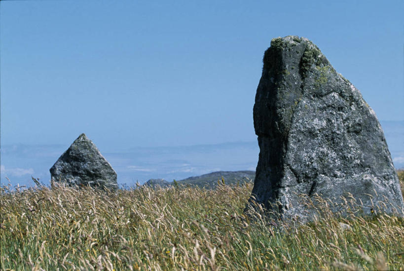 无人,横图,室外,草地,英国,岛,野花,苏格兰,摄影,内赫布里底群岛,外赫布里底群岛,海滩,彩图,石器时代