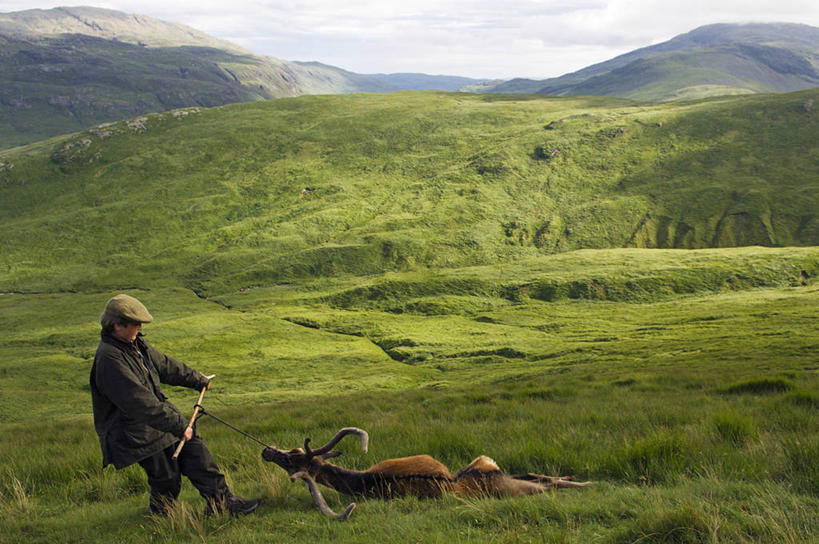 一个人,横图,射击,茎,苏格兰,摄影,死亡,雄鹿,鹿角,杀害,殒命,灭亡,内赫布里底群岛,外赫布里底群岛,马鹿,彩图