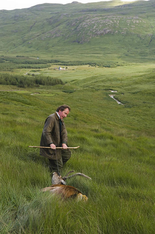 一个人,竖图,射击,茎,苏格兰,摄影,死亡,雄鹿,鹿角,杀害,殒命,灭亡,内赫布里底群岛,外赫布里底群岛,马鹿,彩图