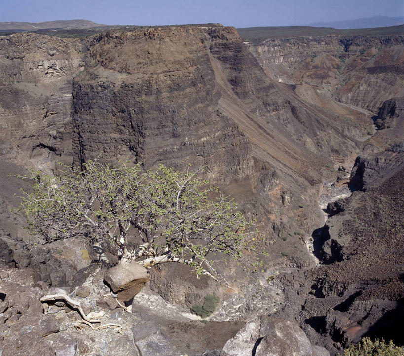 无人,横图,室外,火山,石头,峡谷,植物,非洲,吉布提,石子,悬崖,山谷,树,熔岩,南美,摄影,峭壁,岩层,地震,地质学,石块,岩石,彩图