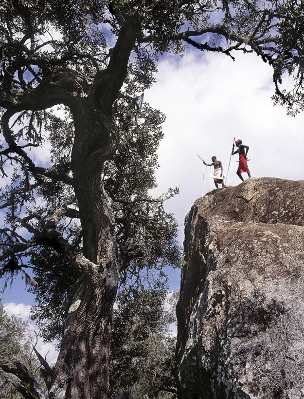 竖图,非洲,肯尼亚,雪松,巨石,树,摄影,矛,岩石,彩图,传统服装,传统文化