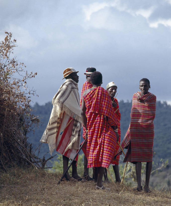 竖图,讨论,非洲,肯尼亚,会议,摄影,非洲文化,彩图,传统服装,传统文化