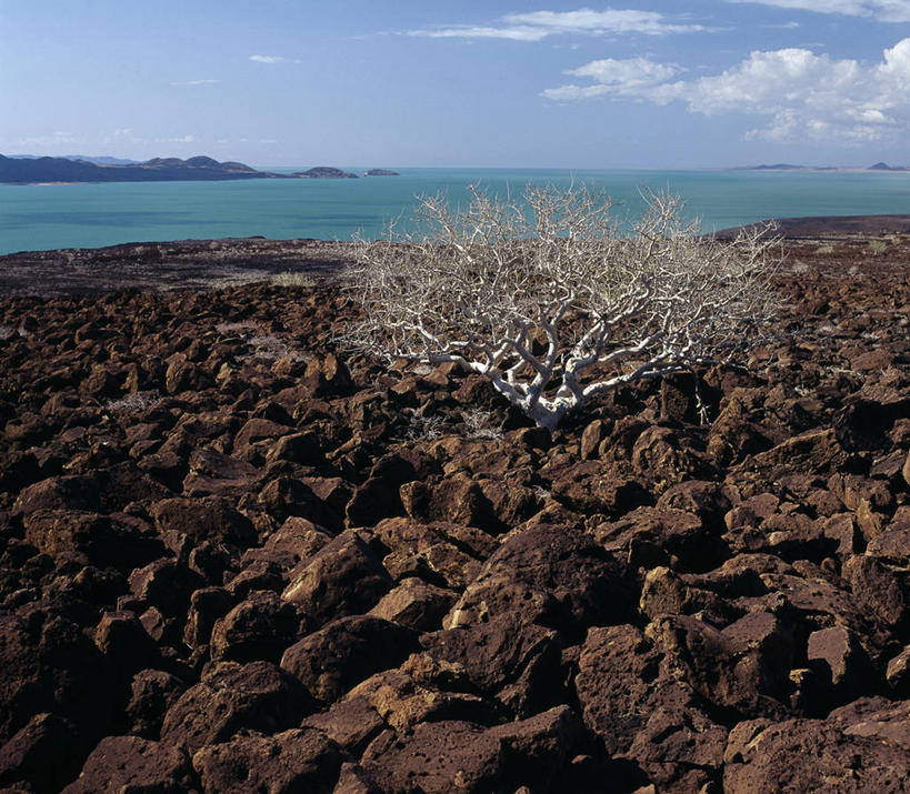 无人,横图,室外,火山,植物,非洲,肯尼亚,地形,巨石,树,熔岩,摄影,策略,玄武岩,地质学,活火山,岩石,彩图