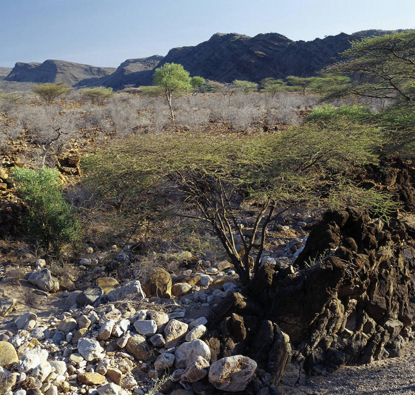 无人,横图,室外,火山,非洲,肯尼亚,地形,山谷,摄影,地质学,活火山,彩图