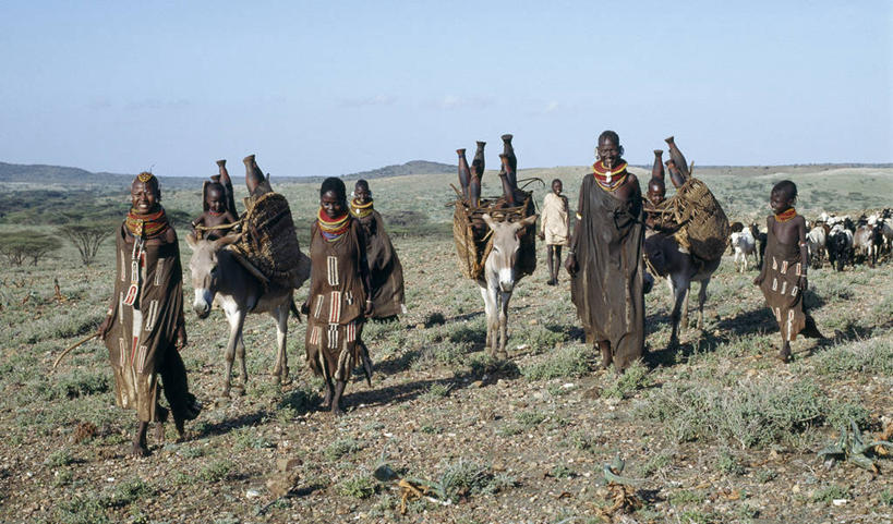 横图,珠宝,非洲,肯尼亚,珠子,压力,摄影,运送,非洲文化,驴子,彩图,传统服装,游牧民族