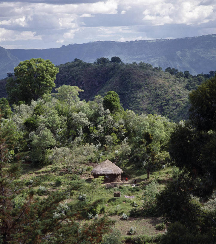 无人,农场,竖图,室外,农业,山,峡谷,非洲,肯尼亚,地形,山谷,绿色,风景,摄影,山脊,彩图
