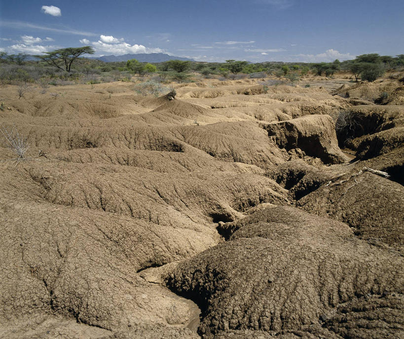 无人,横图,室外,非洲,肯尼亚,地球,地形,摄影,干的,巴林哥湖,彩图