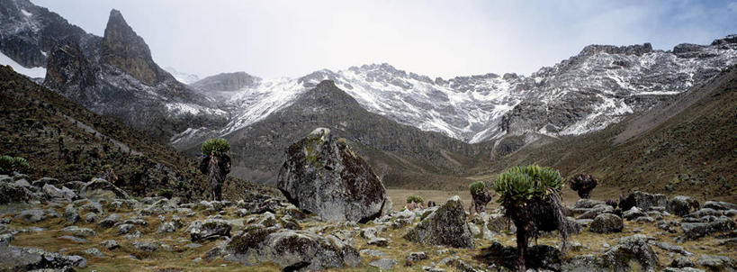 无人,横图,全景,室外,雪,雪山,非洲,肯尼亚,地形,摄影,赤道,肯尼亚山,千里光,彩图
